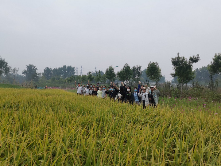 1667143810683046472.jpg 7.jpg