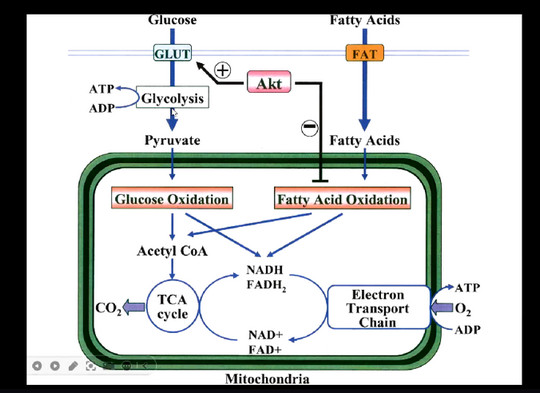 1729822260249007829.jpg 3.jpg