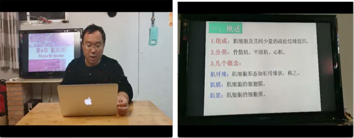 1584526752346023539.png z04.png