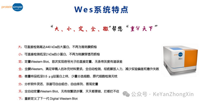 1726622881585044291.jpg 3.jpg