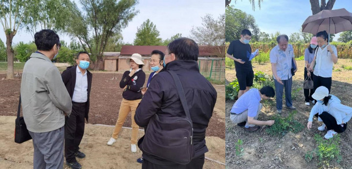 1667143687321060943.jpg 1.jpg